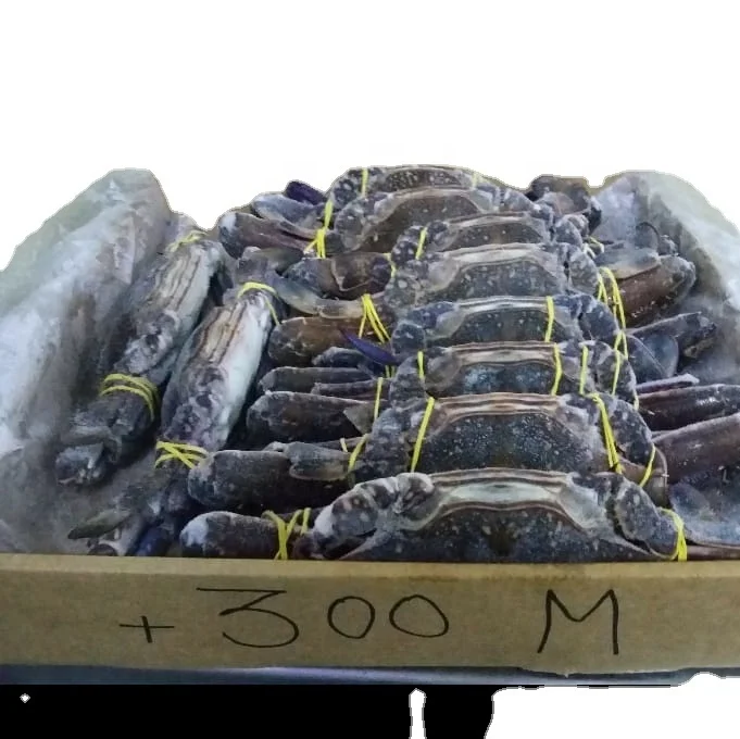 Crab6.jpg