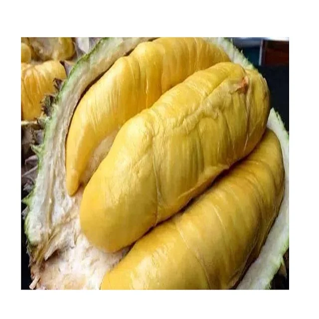 King kg 2021 musang price per Durian Musang