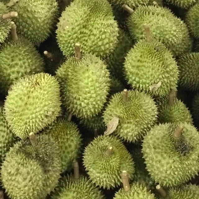 sau rieng3.jpeg