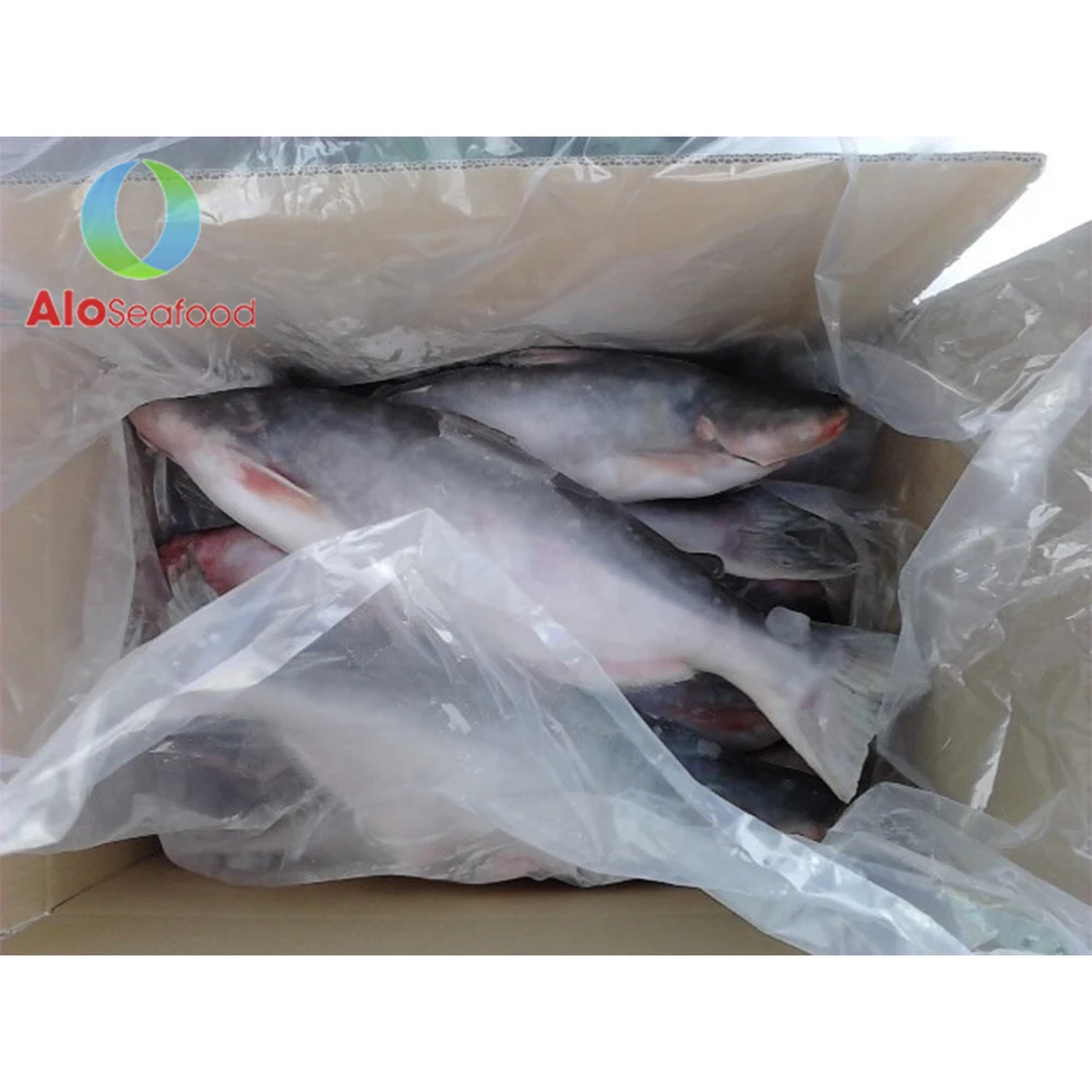 Hot selling cheap price with high quality Frozen Fish Pangasius Skin from Vietnam seafood company
