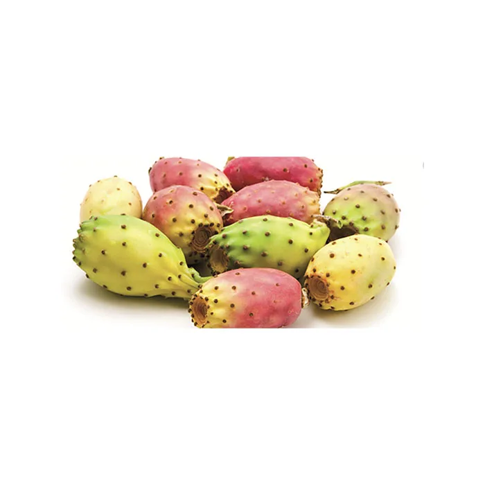 wholesale high quality low price fresh tasty prickly pear cactus