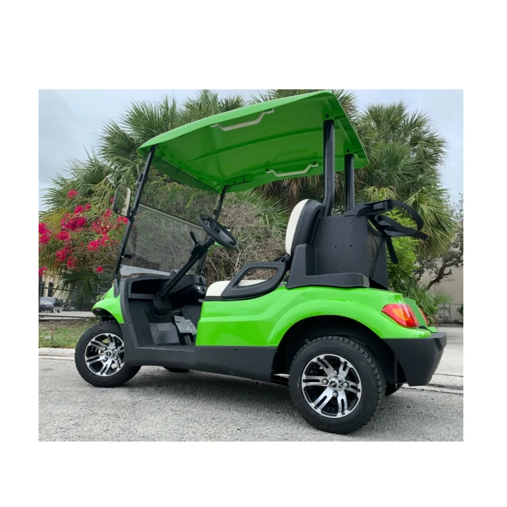 All Colors Available Golf Cart 2 Seater For Sale Battery / Gas Powered