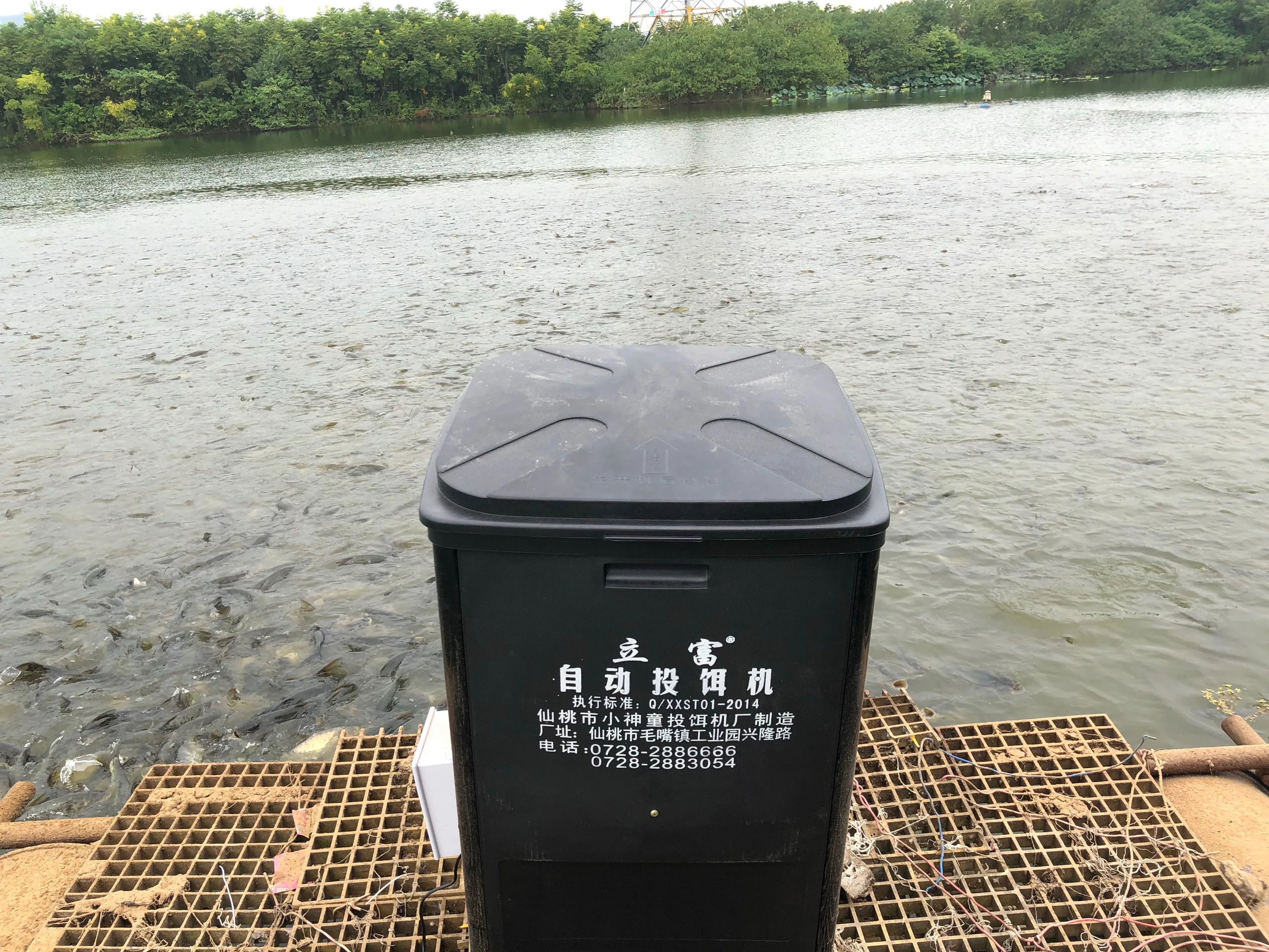 Китайский производитель популярный стиль рыболовный пруд для аквакультуры Профессиональная Большая емкость 120 кг автоматическая кормушка пруд кормушка для рыбы