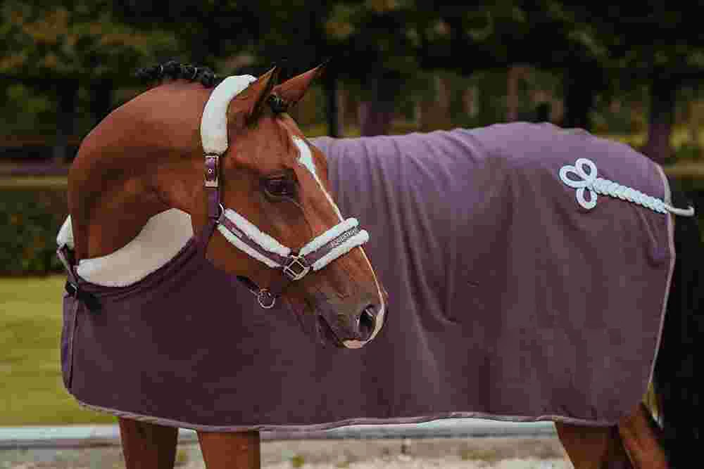 Лошадиное снаряжение, хлопковые зимние товары для верховой езды, водонепроницаемые коврики для лошадей