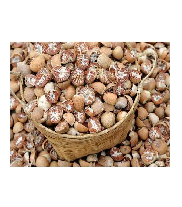 Высококачественный орех BETEL из Вьетнама/сушеный орех ARECA/супарари (Жасмин: + 84 37 461 9429)