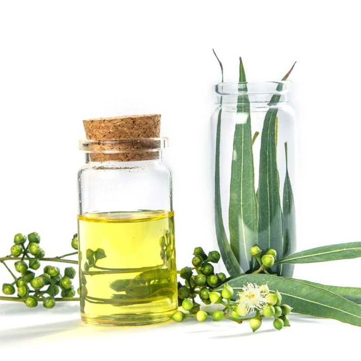 essential oil eucalyptus contain active ingredients eucalyptol