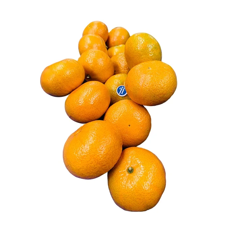 wholesale seasonal fresh satsuma mandarin for sale
