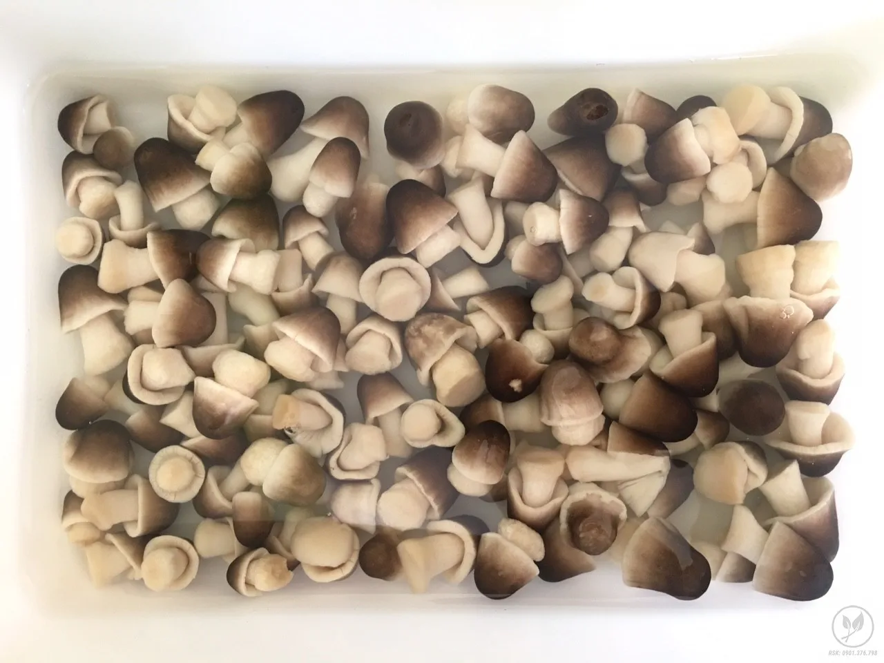 Frozen Straw Mushrooms - Food Supplier