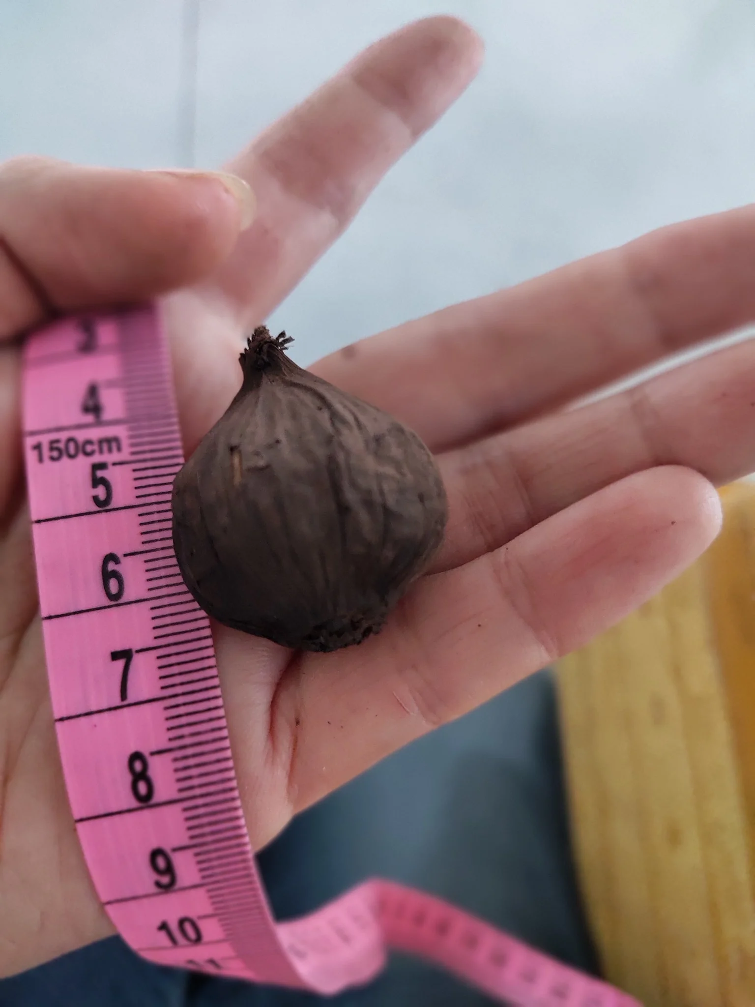 Натуральный черный чеснок/органический чеснок/100% чистый