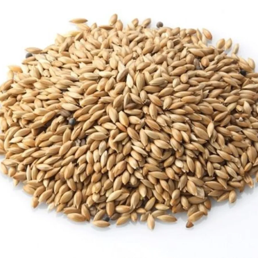 canary bird seed suppliers