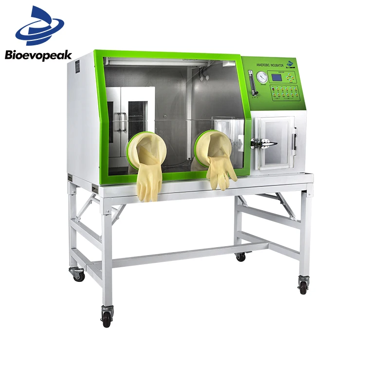 Anaerobic Incubator.jpg