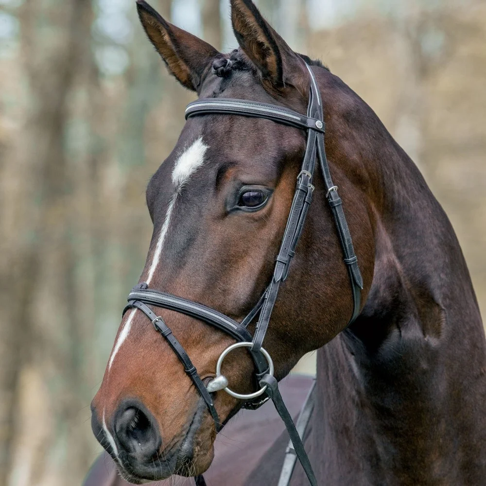 Rubber Reins Details about / Anatomic Bridle GLOW Curve Crystal BLING Comfort Cut Away PATENT