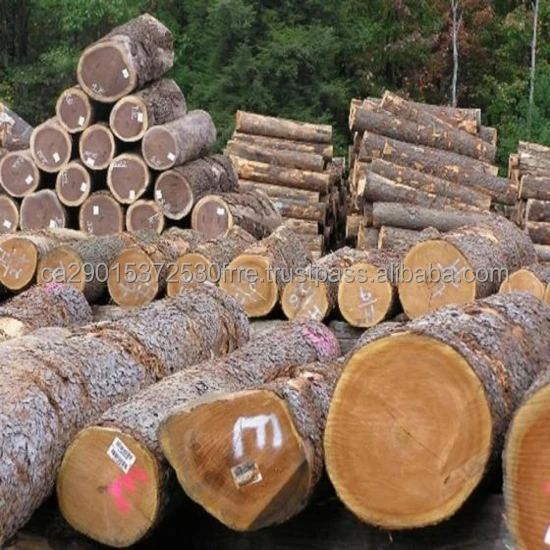 pine logs.jpg