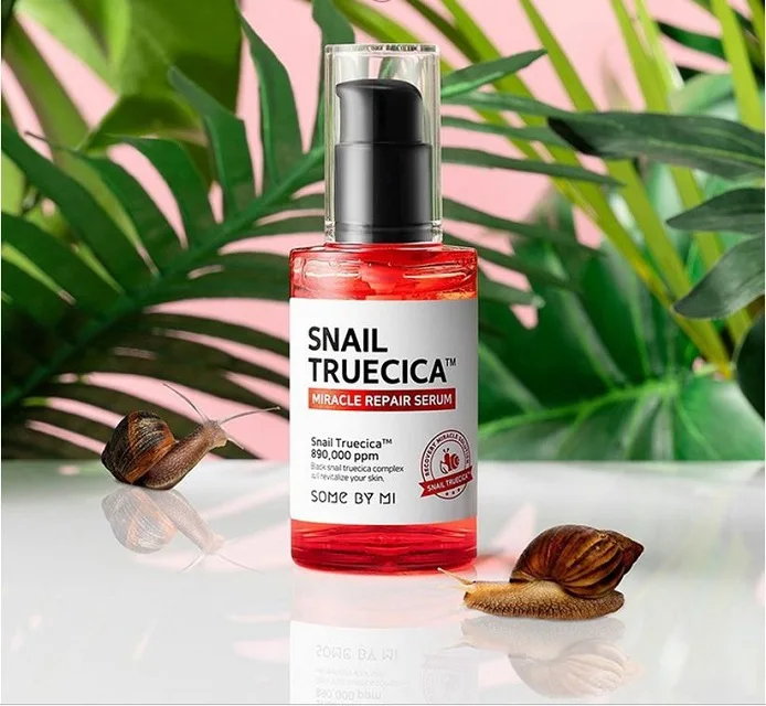 korean snail serum