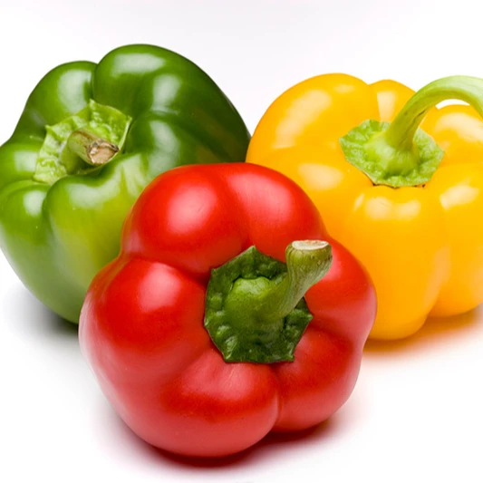 Fresh Bell pepper/ Capsicum from Vietnam - NHP Foods- Ngan Hoa Phat Co., Ltd