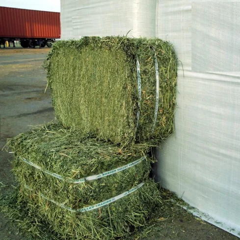 Alfalfa Hay Alfalfa Hay In Bales Good Quality Buy Alfalfa Hay Bales For Sale Product On Alibaba Com