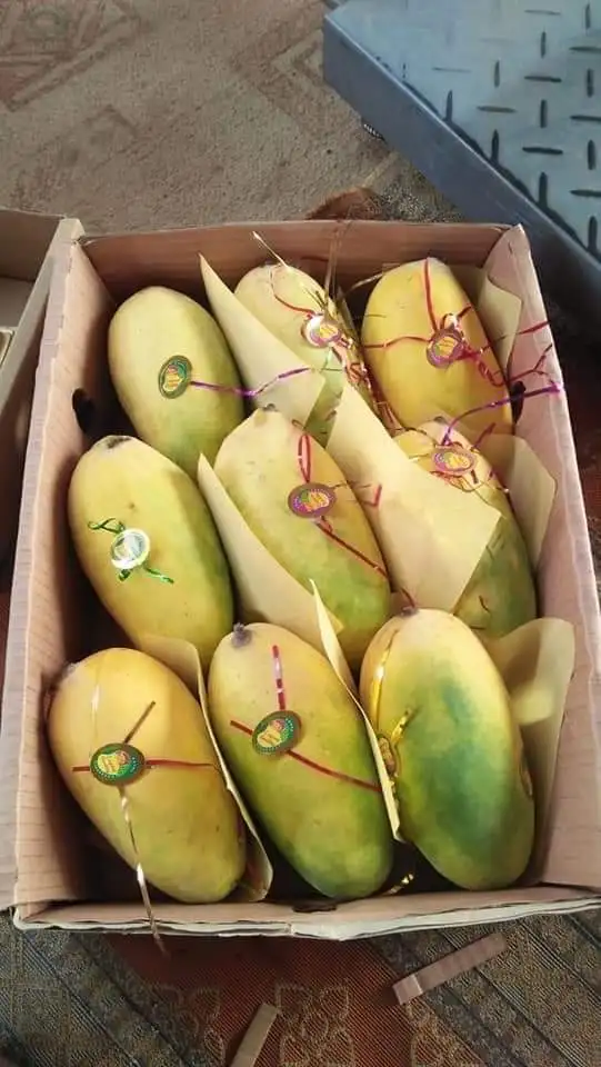 Pakistani Fresh Mangoes Sindhri Anwar Ratool,Langhra,White Chunsa Black