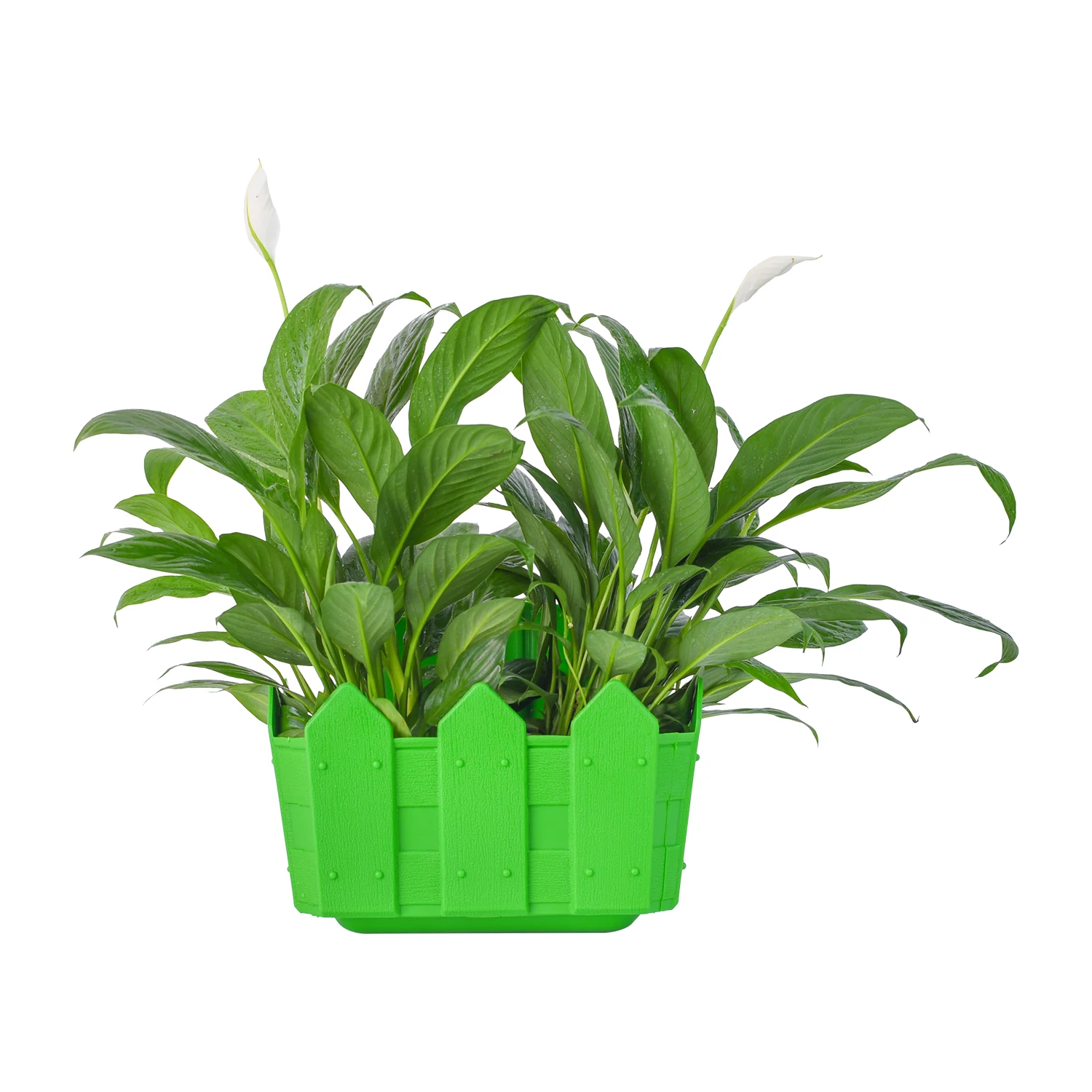 Пластиковый настенный горшок для растений, подвесной самополивающийся цветочный горшок, забор для сада, пластиковые кастрюли для растений, цвет под заказ