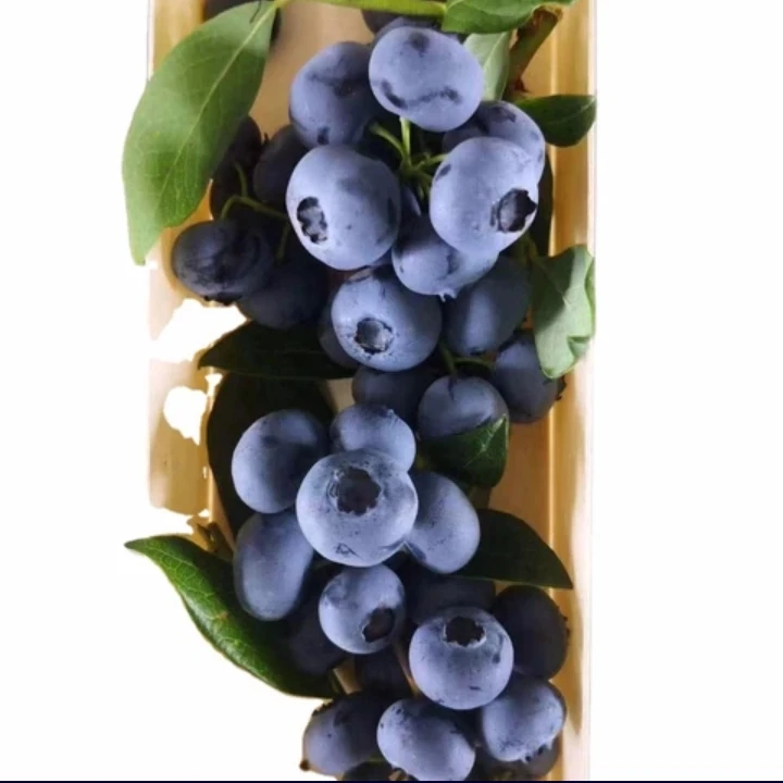 frozen price raspberry blueberry blackberry strawberry berry