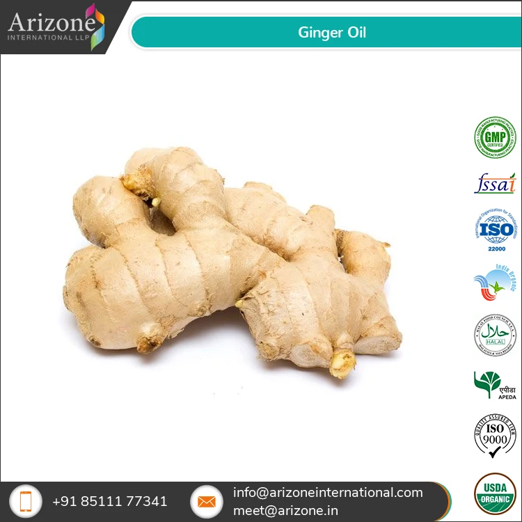 100% чистые оптовые поставки эфирных травяных масел имбиря хорошего качества от надежного поставщика