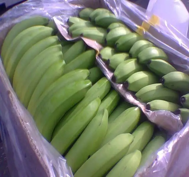 BANANA12.jpg