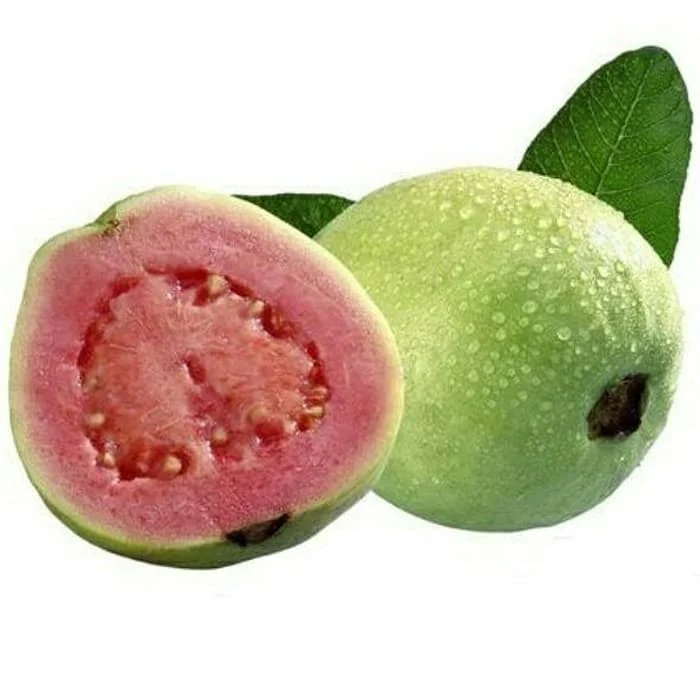 在线购买抗衰老番石榴籽油散装批发价 - buy buy online guava seed o
