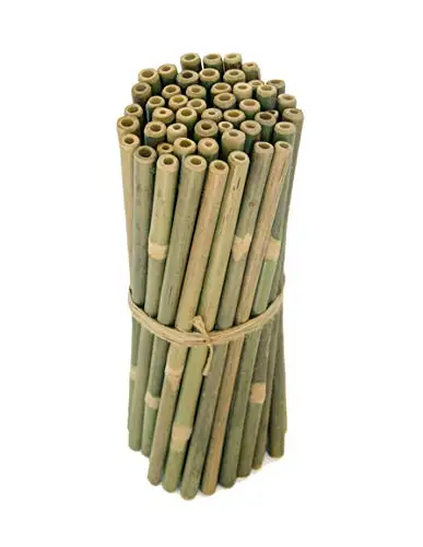 天然可重复使用的有机饮用竹竿木吸管环保饮用水吸管 - buy bamboo