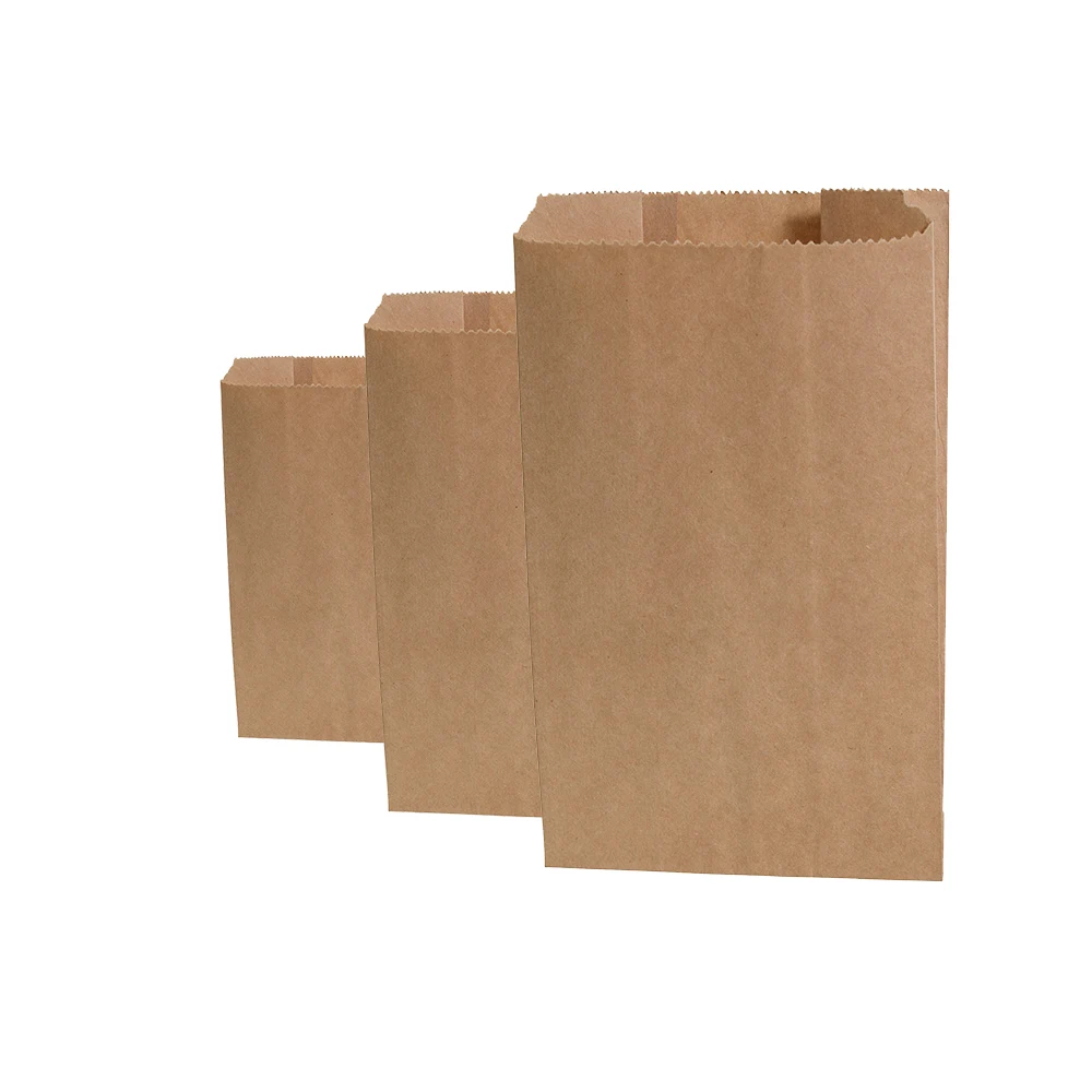 Satchel Paper Bag Biodegradable & Disposable Food & Beverage Packaging