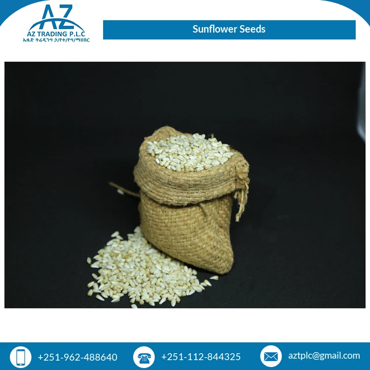 2021 Новое поступление сушеных семян подсолнечника для обычного культивирования оптом