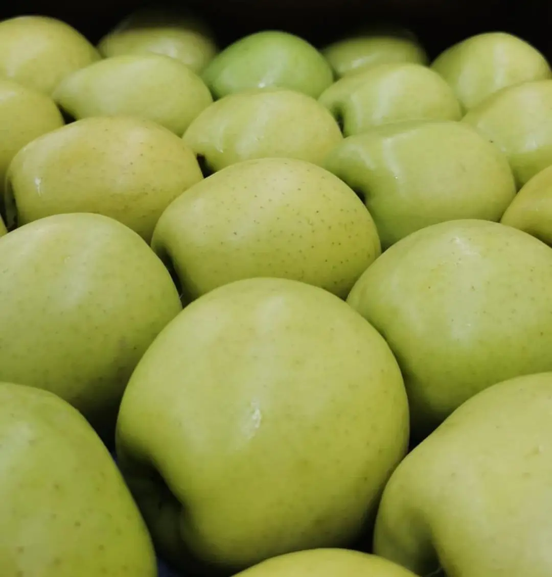 Fresh Turkish Red Yellow Delicious Apple Golden Delicious Apple Buy