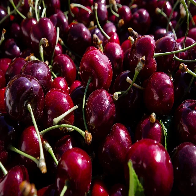 red sweet cherry / fresh chery fruit /fresh fruits for sell