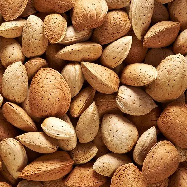 Wholesale Dealer Of Non Pareil Almond Large Stock Available Buy Non
