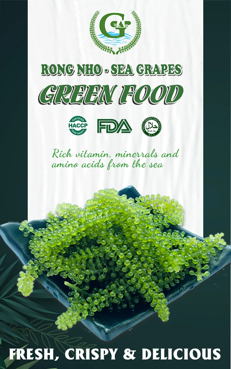 Dehydrated Sea Grapes Sea Grapes 100 Natural Sea Grape Dried Longevity