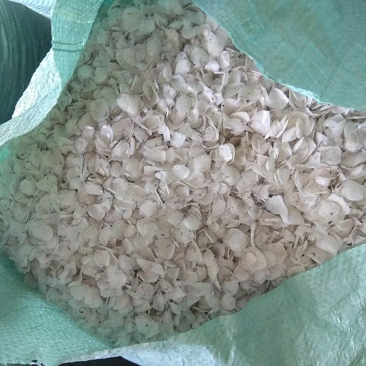 Supplier Dry Fish Scale Tilapia Scale Axel + 84 38 776 0892 Buy