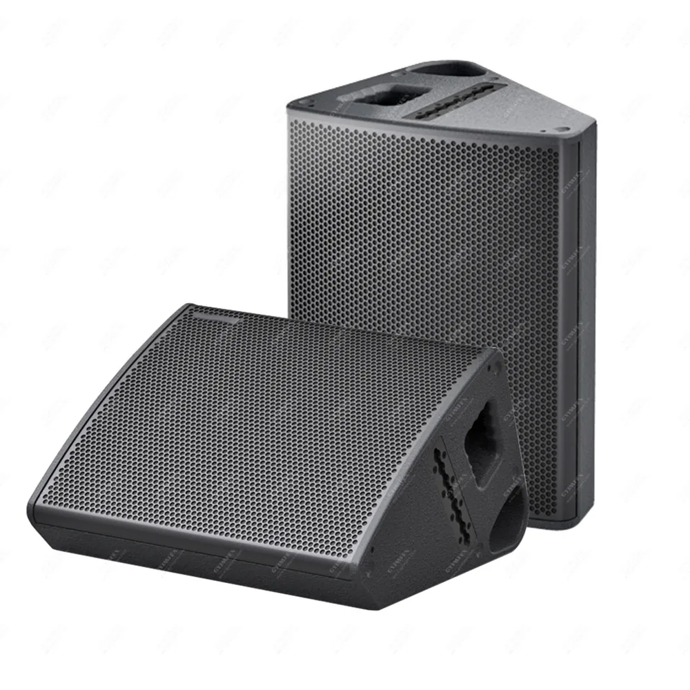 Touring Grade Pa System Monitor 