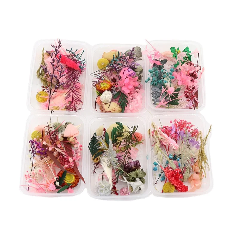 Diy Dried Flower Storage Box For Diy Teaching And Dried Flower Crafts ...