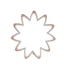 Enamel