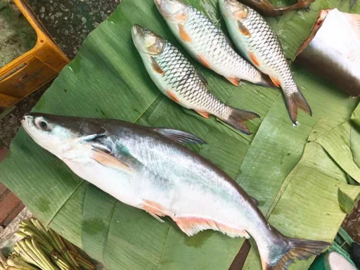 ベトナム産バサ魚卸売工場価格安い価格高品質無料税-冷凍バサ魚