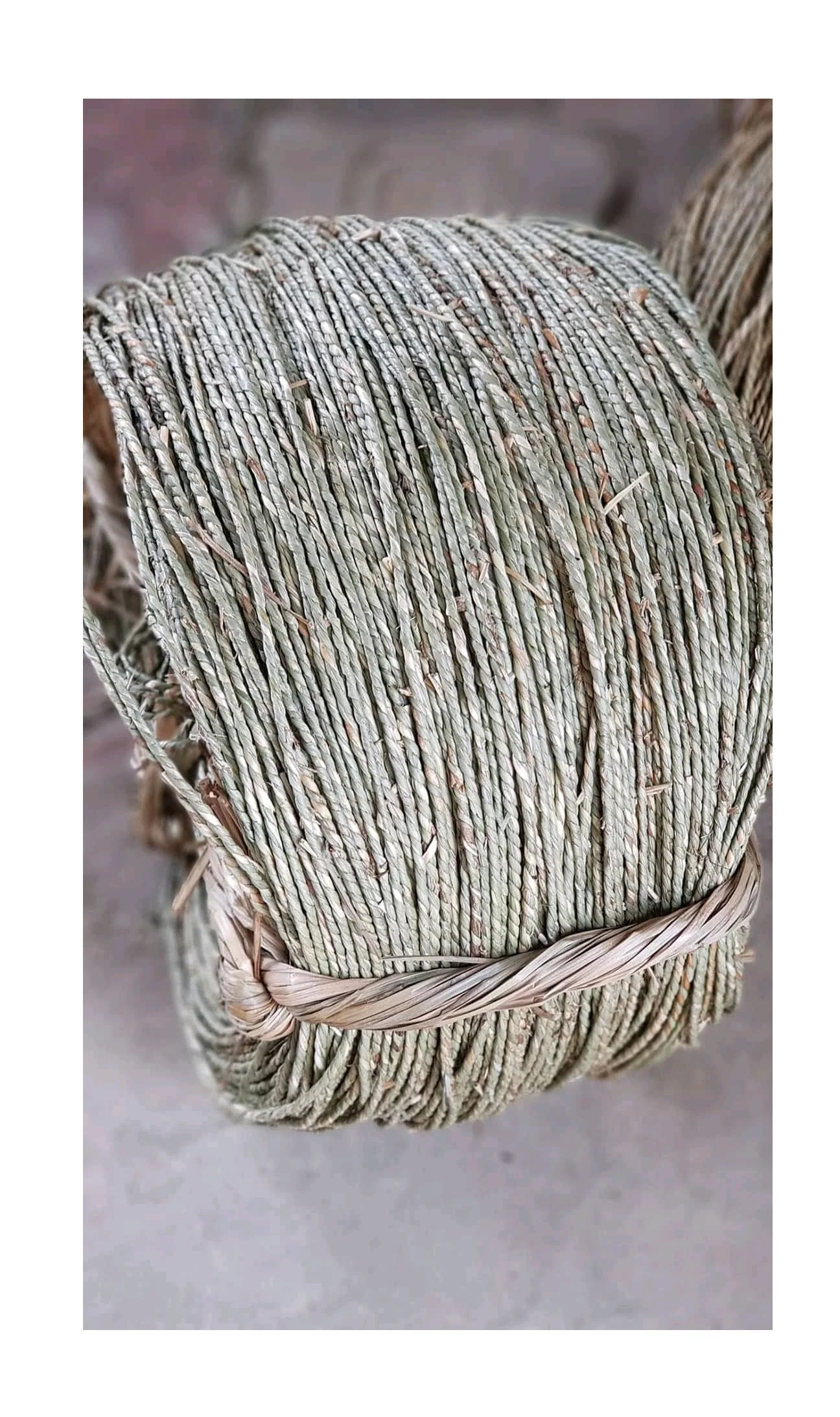 Color-Fast Dried Sea Grass Material Weaving Seagrass Rope for Craft  Products - China Seagrass and Sea Grass price