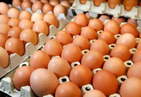 fresh chicken eggs.jpg