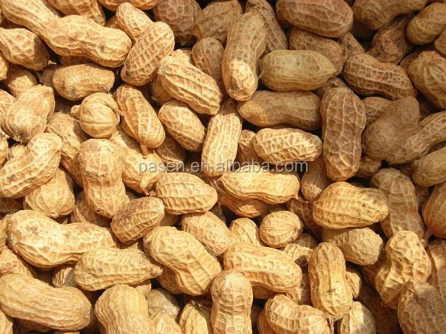Peanut Shelling Machine Groundnut Sheller  Peanut Shell Removing Machine