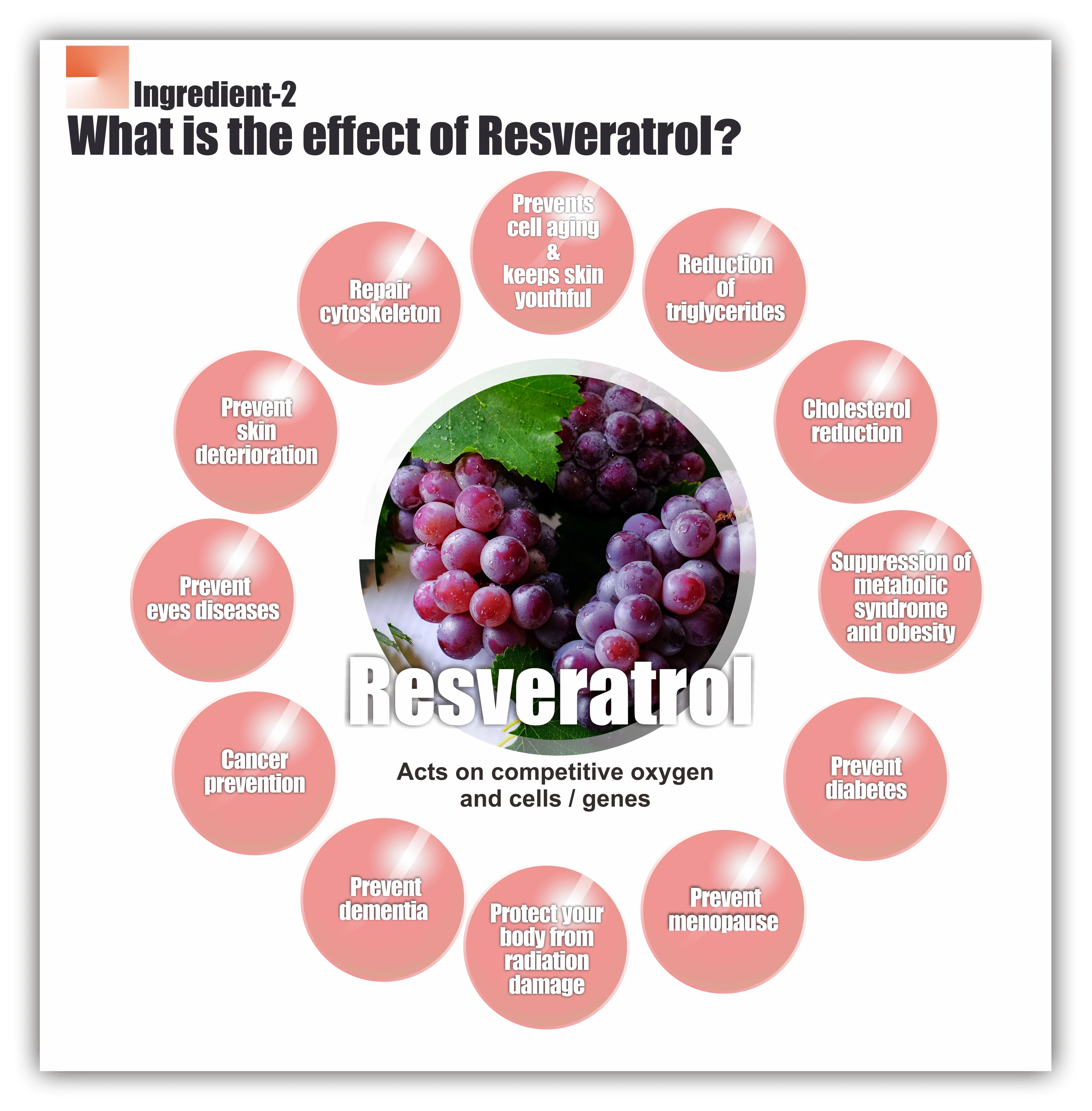 2021 big hit beauty product camu camu c powder is a tailored