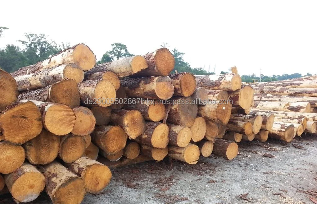 Southern Yellow Pine Logs,20+ Cm Diameter Buy Pine Logs For Sale,New