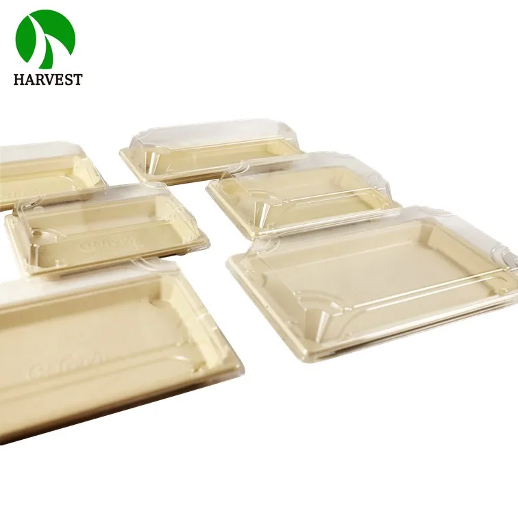 Custom Small Luxury Cosmetic recycled Colour Printing logo Packaging Paper Box