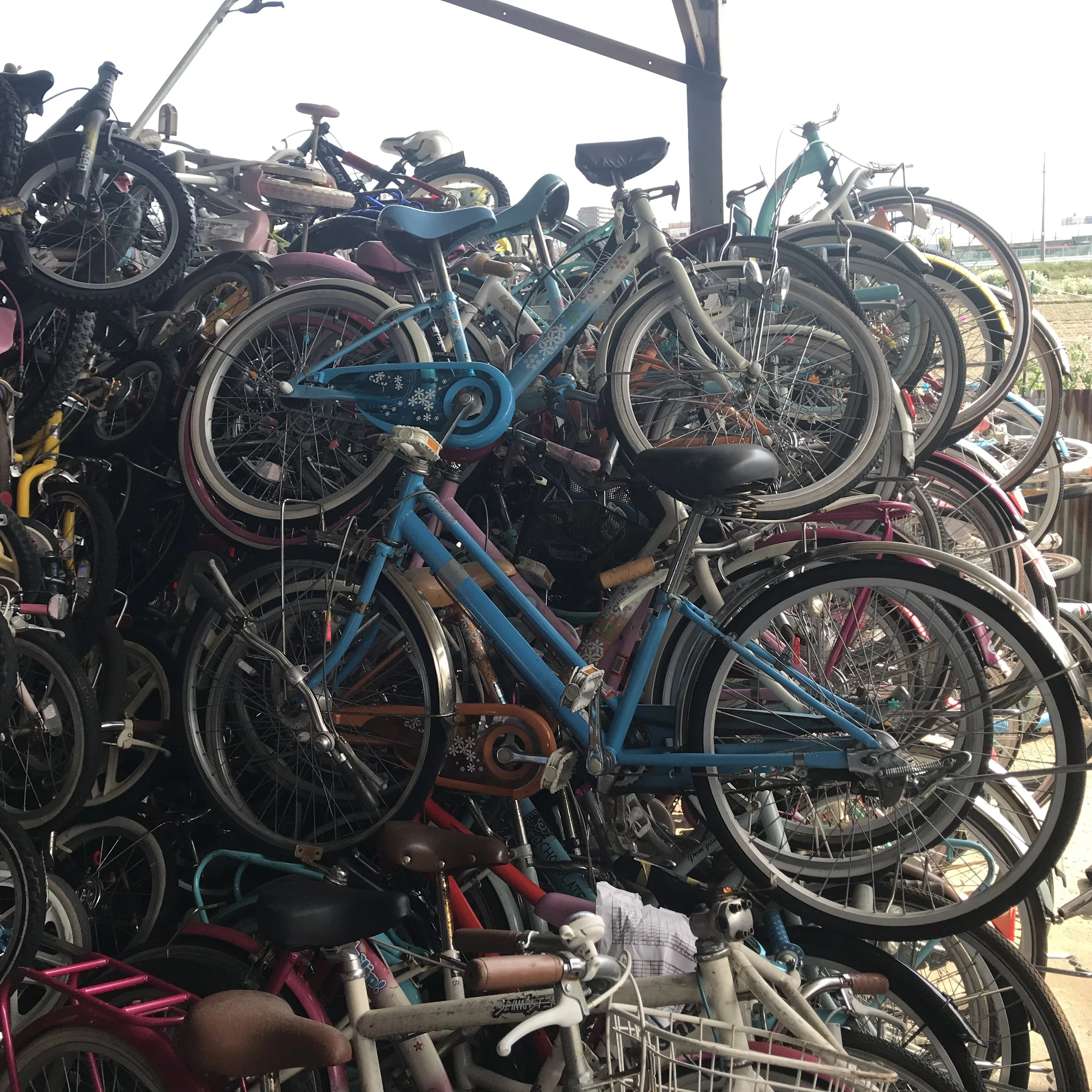 Shop High-Quality Used Bikes from Japan - Full Suspension