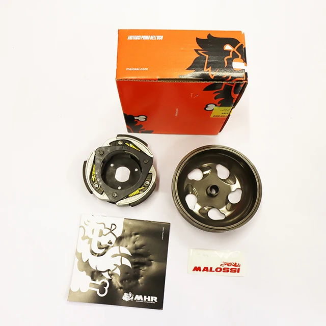 Made In Italy Motorcycle Accessories And Parts Malossi Variator 5216184