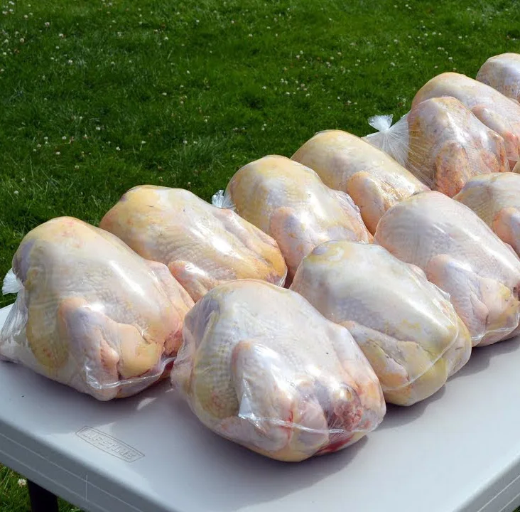 10 X 16 PREMIUM POULTRY SHRINK BAGS + ZIP TIES