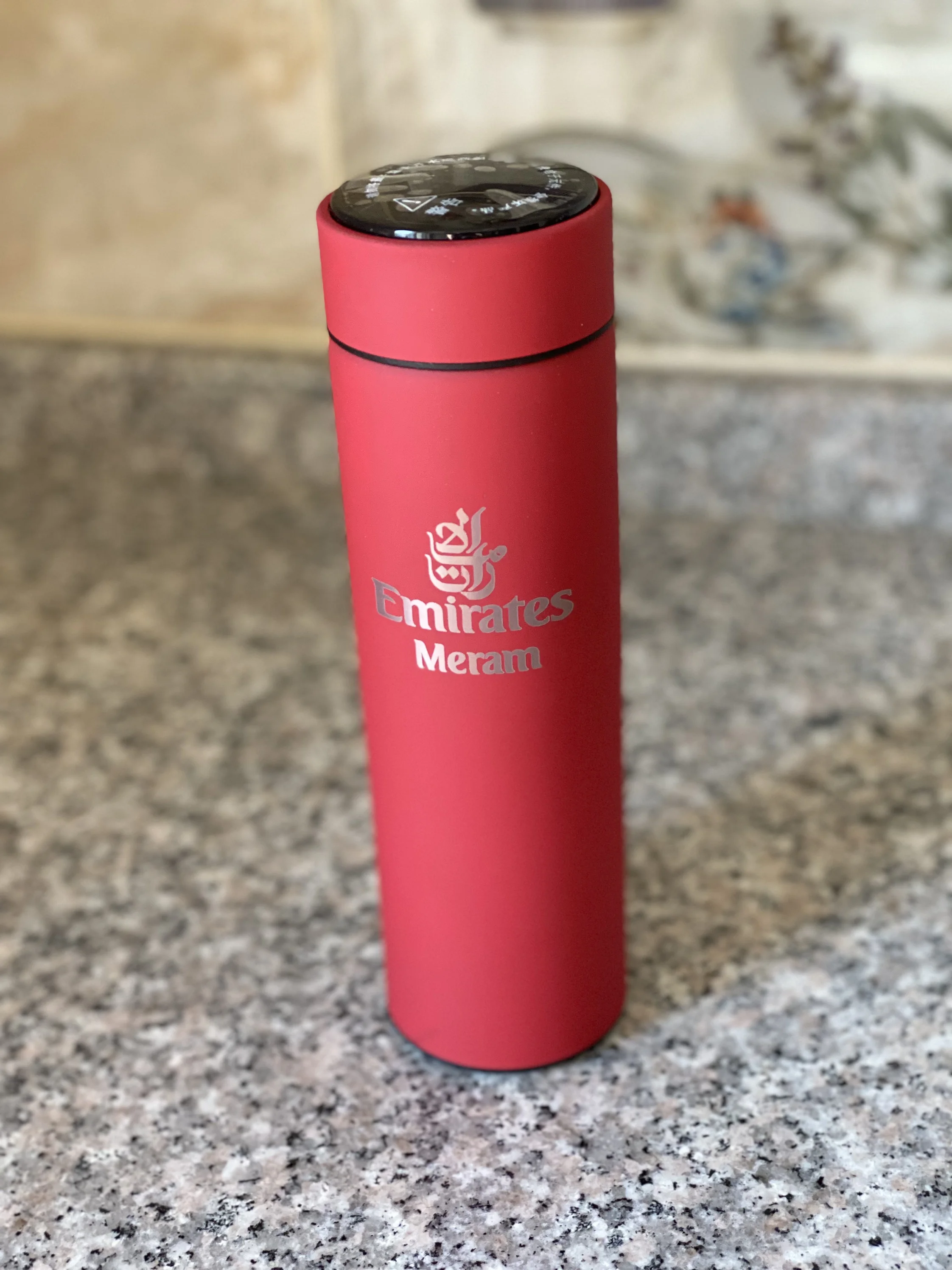 Tumbler with Temperature Display – Tea and Whisk