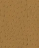 Ocher