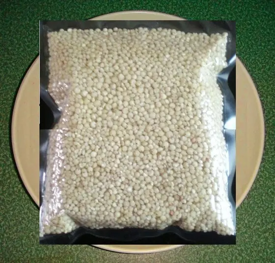 Sorghum-Seeds.jpg